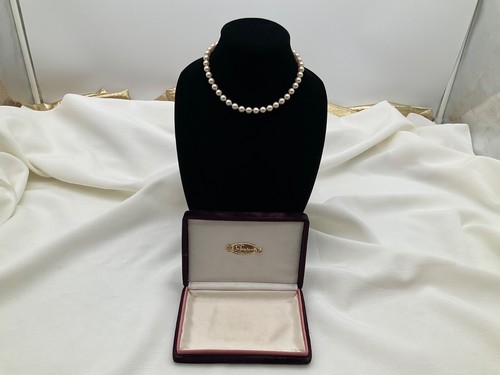 Tausca pearl necklace in - la,