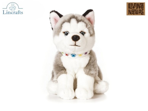 Sitting husky puppy plush - husky,