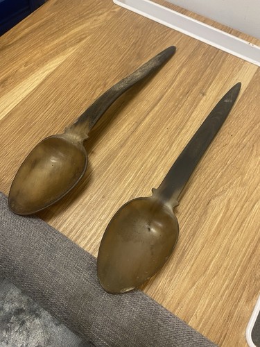 Pair horn bone spoons - bone,