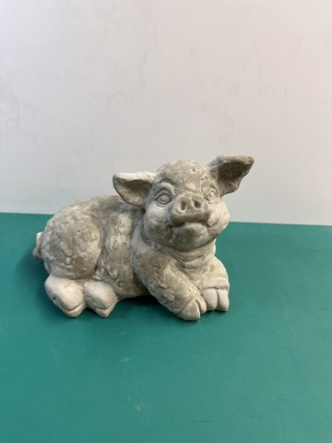 Pig laying concrete garden - laying,