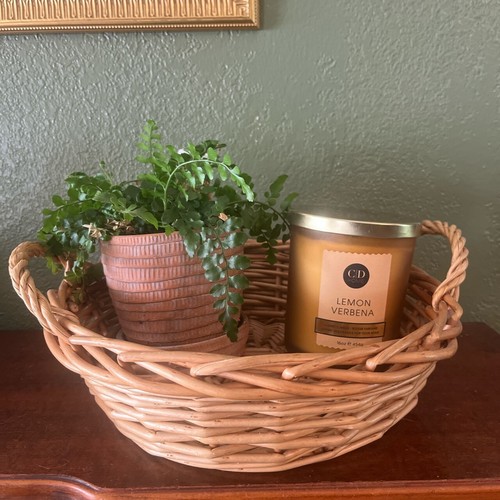 Wicker rattan tray with - rattan,