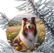 Rough Collie Dog Hanging