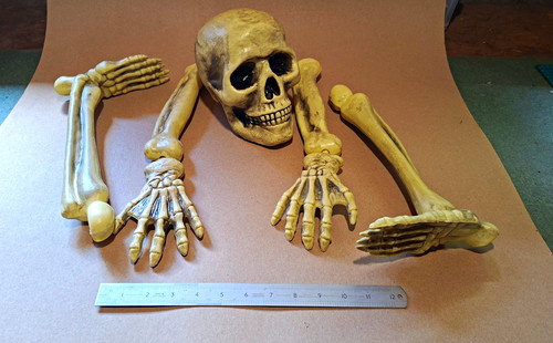 Skull skeleton bones - &,