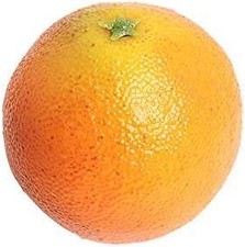 Pack x 2 Artificial Fruit