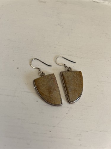 Light brown hook earrings with - hook,