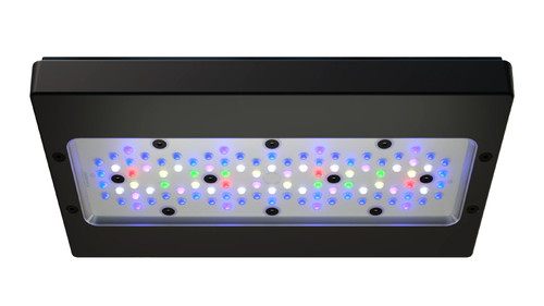 Ecotech radion xr30 - ecotech, pro