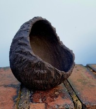 Unglazed Crescent Bonsai Pot 