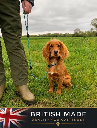 6mm gun dog slip lead - lead, handmade