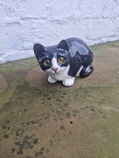 Winstanley Black & White Cat Size 2