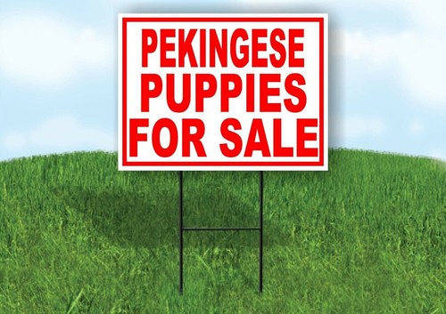 Pekingese puppies for sale red - sale,