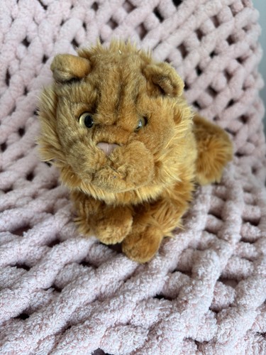 Soft sensations ginger cat