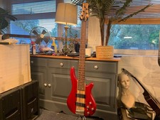 J & D Brothers 5 string bass