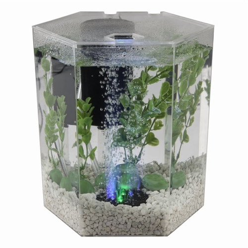 Gal bubbling led aquarium - led,