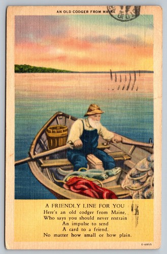 Vintage maine postcard - maine,