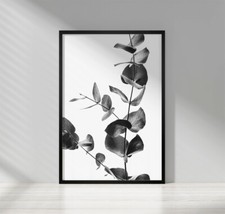 Black and White Botanical