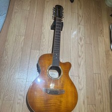 Aria string - aria, 12-string