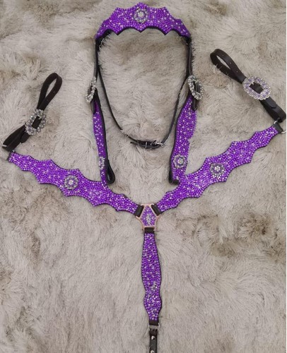 Horse show saddle tack
