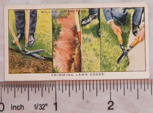 1938 wills garden - wills, 17