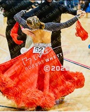 ballroom dance competition dress