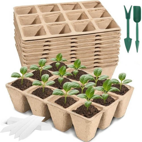 Pack biodegradable fibre - 10,