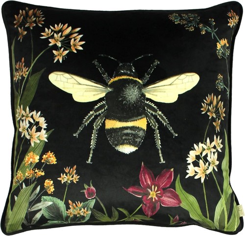 Evans lichfield midnight - evans,