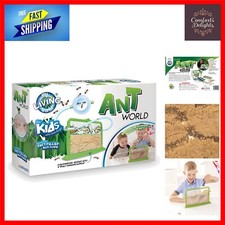 Hands-On Ant World Experience