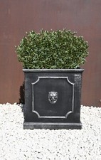 Clayfibre lion head cube - head,