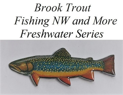 Pin pals brook - brook, or