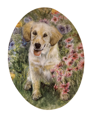 Golden retriever plaque - retriever,
