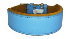  Leather Dog Collar Staffy
