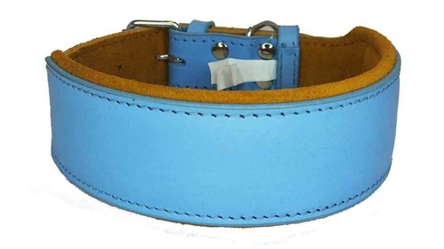 Leather dog collar - , staffy