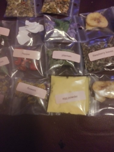 Land hermit crab food - land,