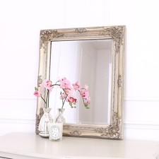 50x60cm Champagne Silver Wall Mirror Bedroom Wall Mirror with Bevelled Mirror