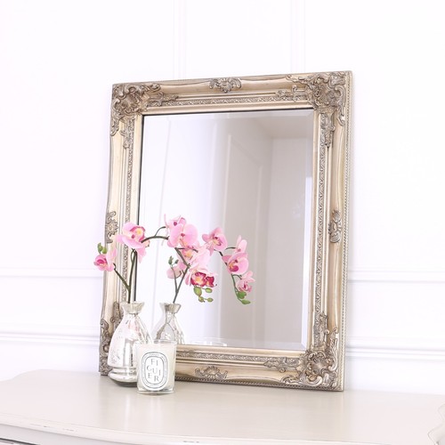 50x60cm champagne silver - 50x60cm,