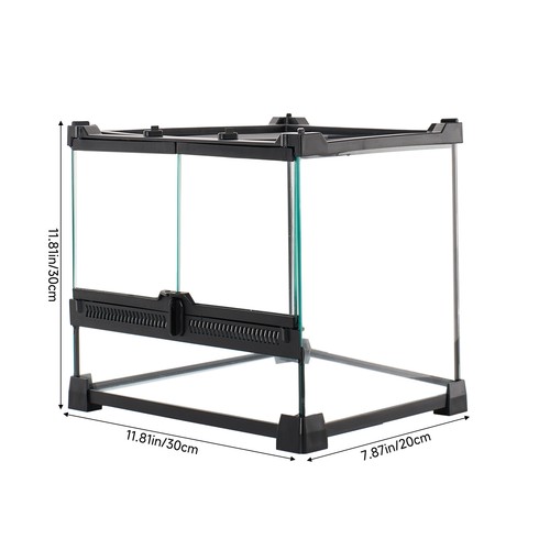 Glass reptile terrarium - reptile,