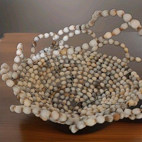 Seashell coastal round - round, shell