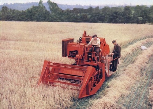Vintage massey ferguson - vintage,