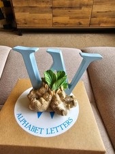 Peter Rabbit Beatrix Potter