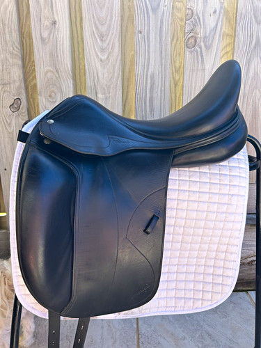 Amerigo pinerole dressage - amerigo,
