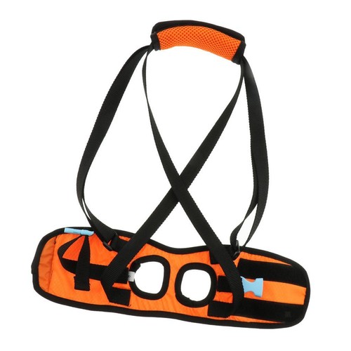 Dog walking lifting carry - carry,
