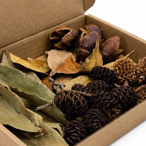 Aquarium botanical starter - botanical, starter+