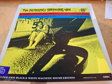 THE INCREDIBLE SHRINKING MAN