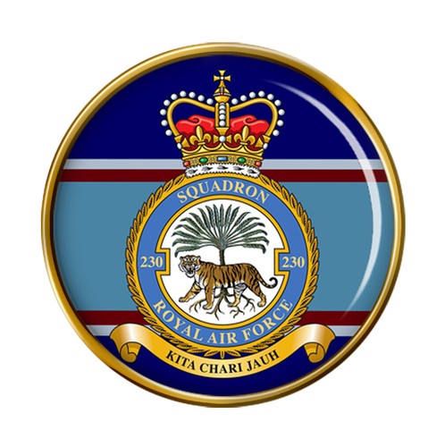 230 squadron raf - squadron,, pin