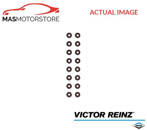 Valve stem seal - set, victor