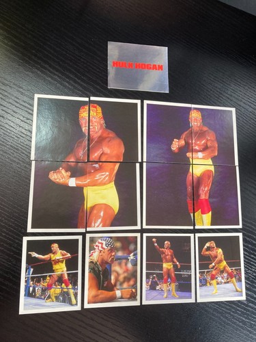 Wwf wwe merlin - wwf,