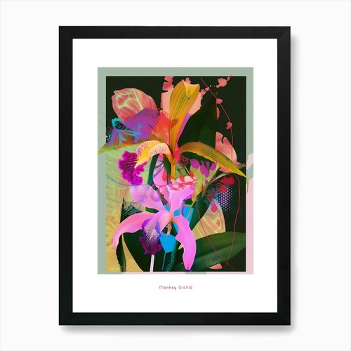Monkey orchid neon flower - monkey,