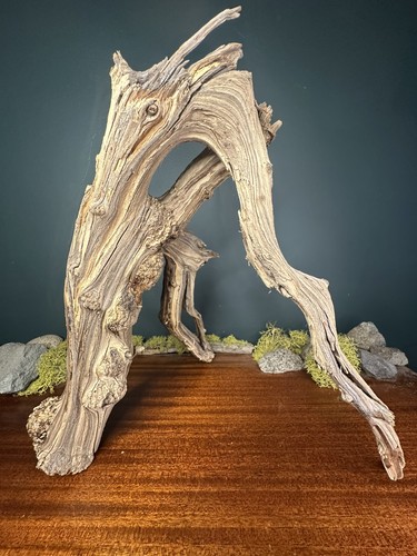 Manzanita driftwood - 16”,