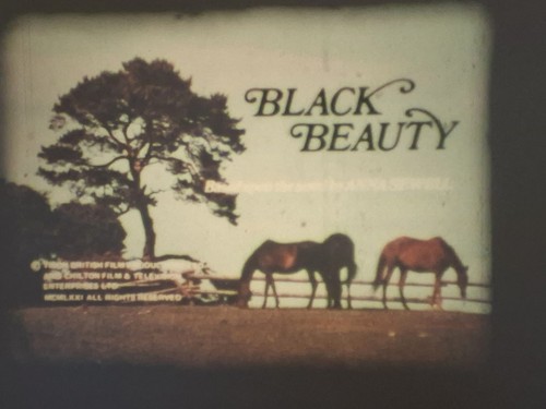 Black beauty 1971 - super, 8
