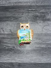 Madeira Portugal Owl Souvenir Magnet Collectible Gift Unique Decorative Piece