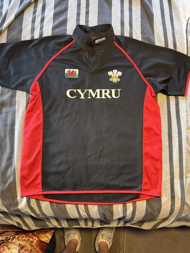 Welsh rugby shirt - rugby,